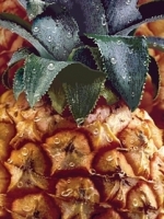 Abacaxi