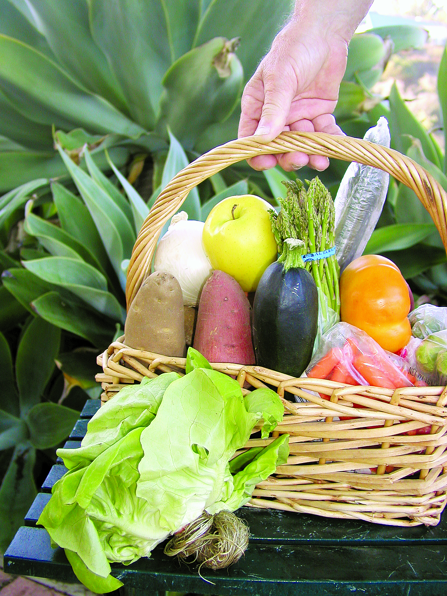 Distribuidora de Alimentos em São José do Rio Preto